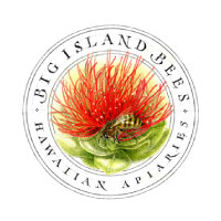 BIG ISLAND BEES logo